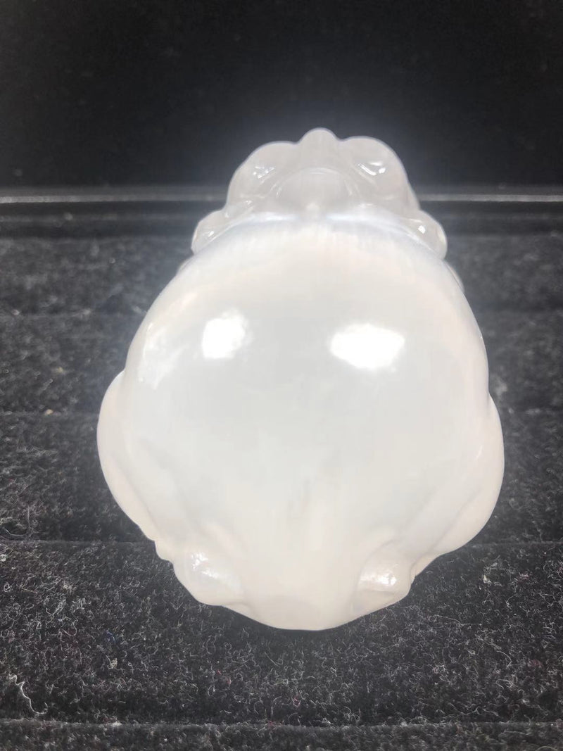 Natural transparent gypsum dragon tortoise ornaments